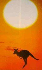 kangaroo A sad day for freedom of speech